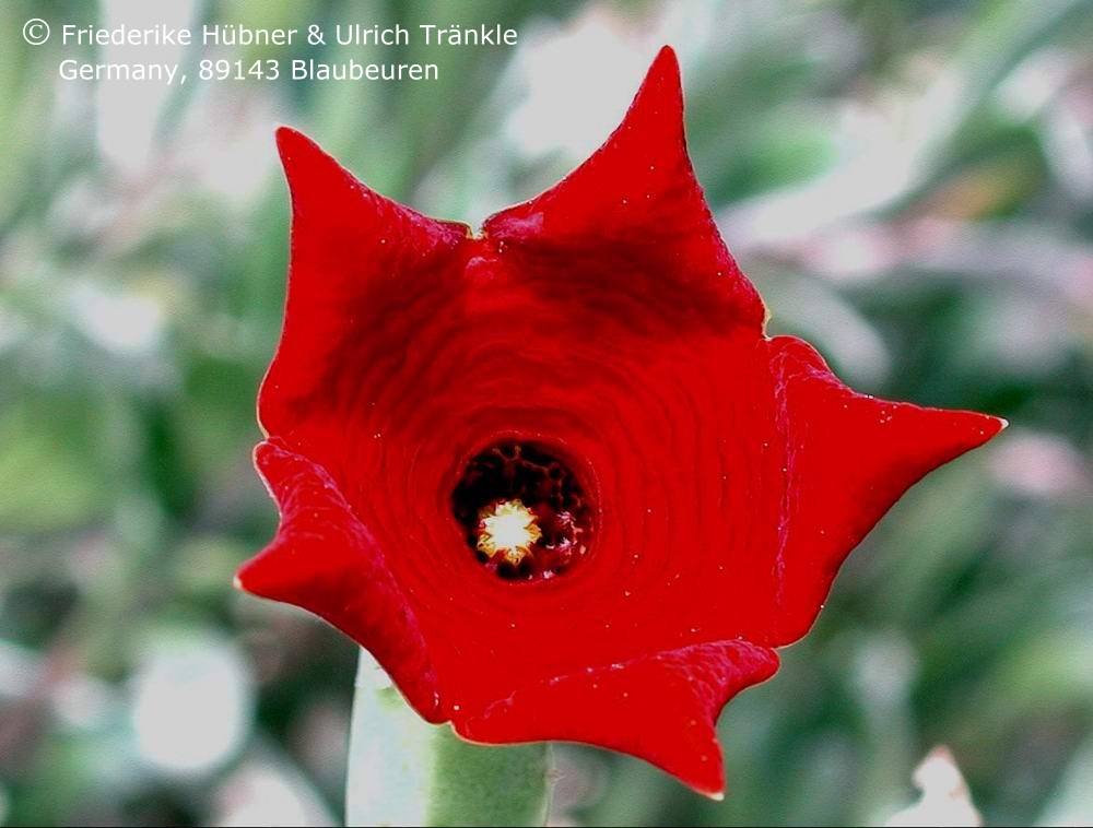 Fotoausstellung Quaqua